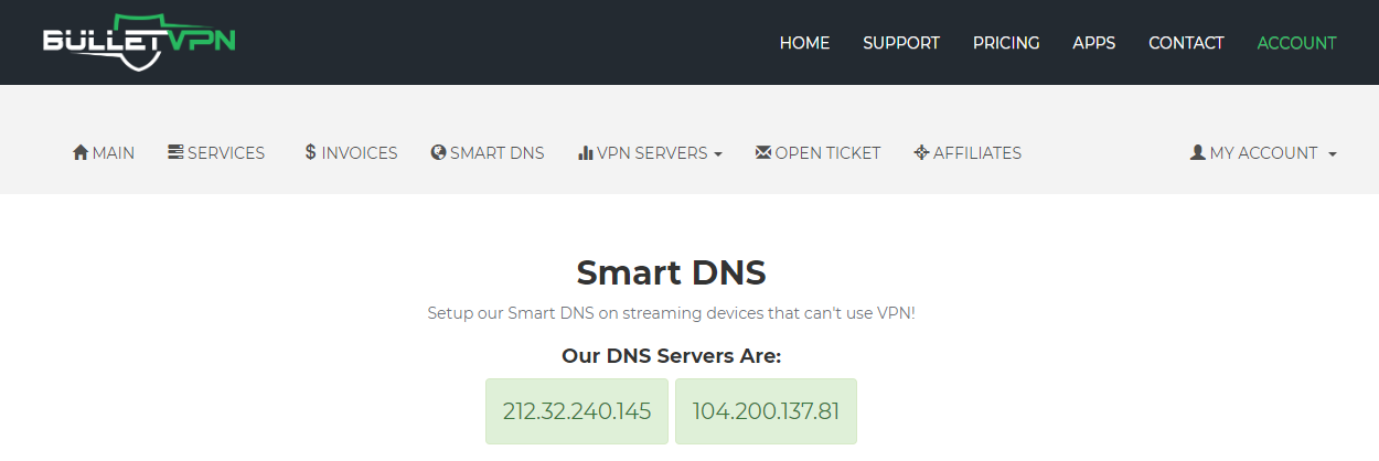 Smart_DNS_-_BulletVPN_-_2019-12-07_23.34.49.png