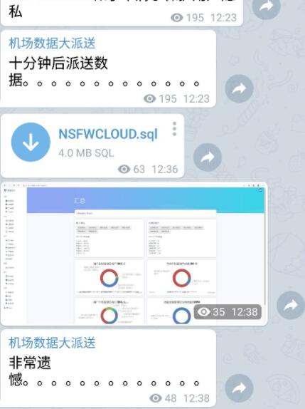 NSFWCloud机场（原百草园机场）被脱裤