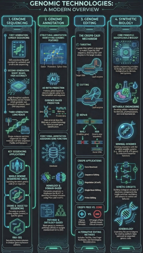 notebooklm提示词用来生成AI 信息图表（Infographics）